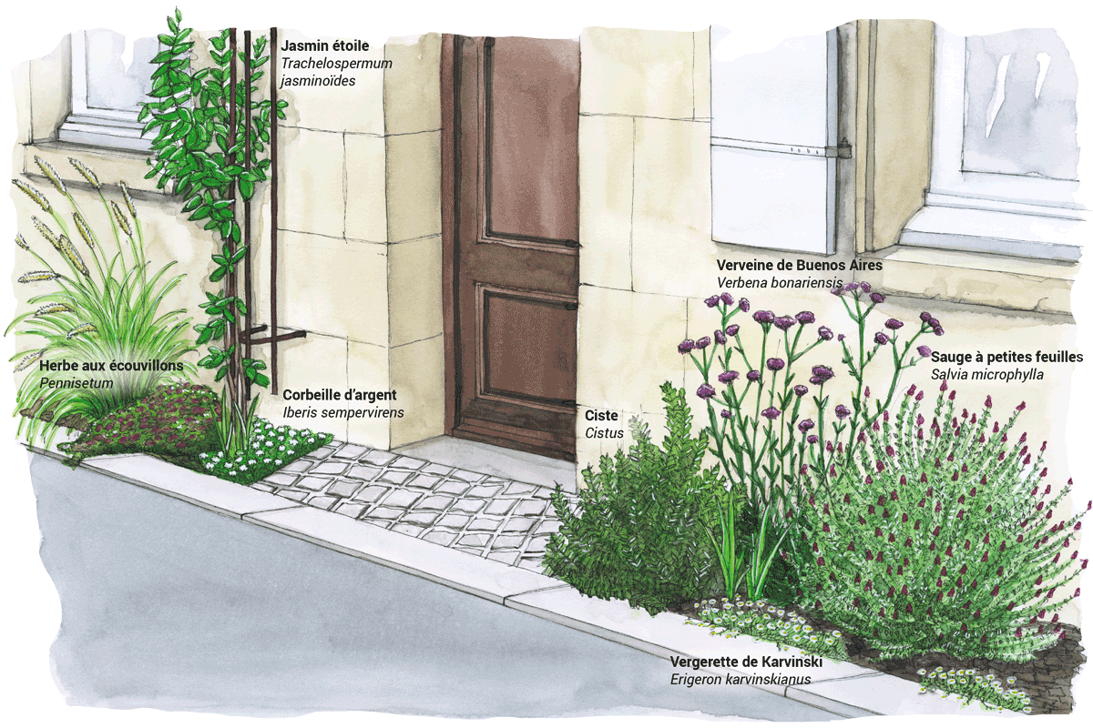 jardiner-la-rue-1200