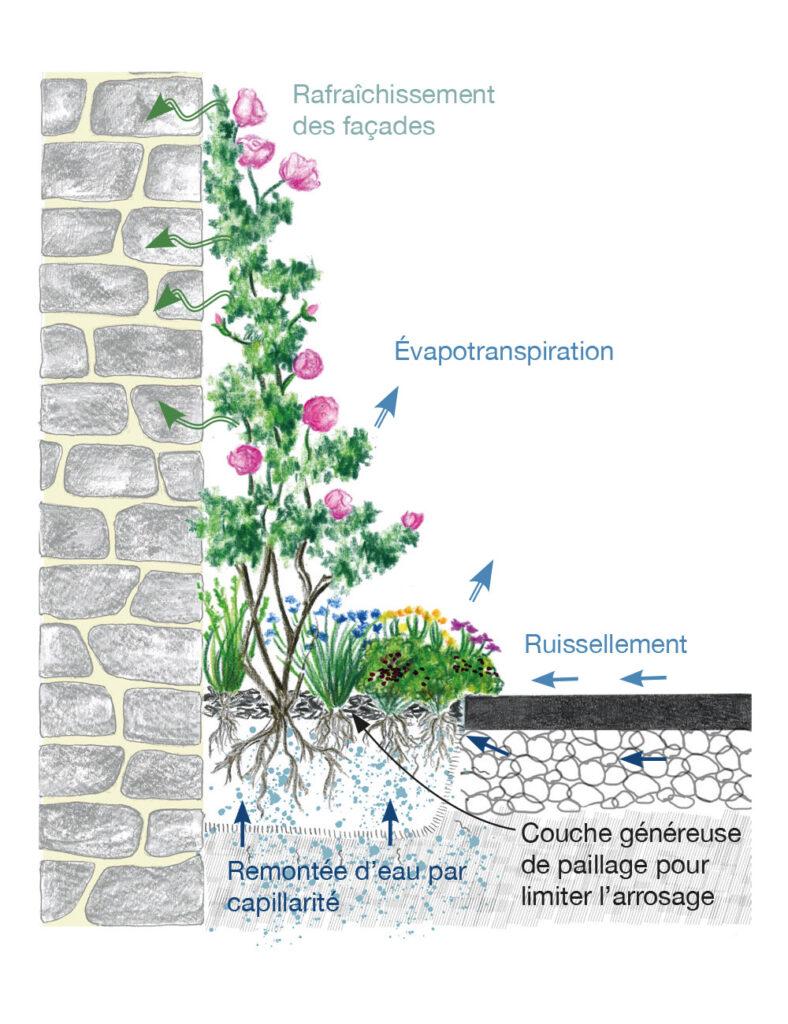 schema-jardiner-la-rue-caue